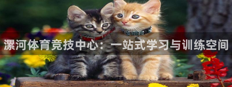 oety欧亿体育官网下载平台是正规平台吗安全吗:漯河体育竞技