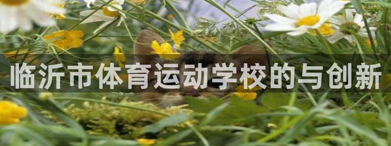 德国欧亿体育官方正版app集团:临沂市体育运动学校的与创新
