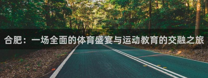 oety欧亿体育官网下载平台是正规平台吗:合肥:一场全面的体