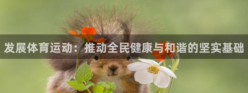 欧亿体育官方正版app集团官网网址:发展体育运动:推动全民健